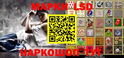 крисы Новокубанск