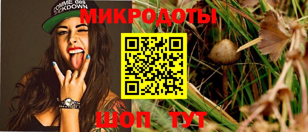Галлюциногенные грибы мицелий Тимашёвск