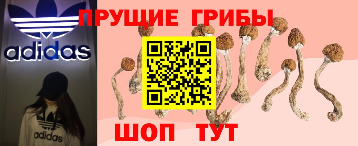 Тимашёвск  Псилоцибиновые грибы мухоморы  Вход с VPN 